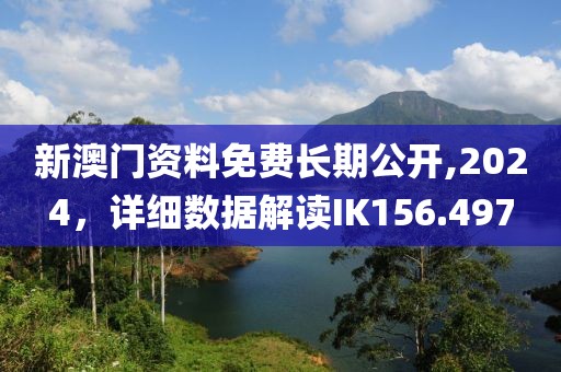 新澳门资料免费长期公开,2024，详细数据解读IK156.497