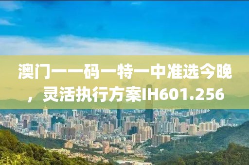 澳门一一码一特一中准选今晚，灵活执行方案IH601.256
