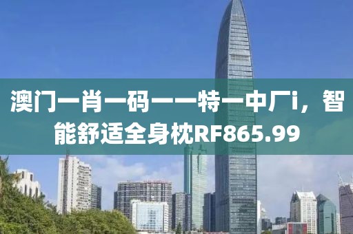 澳门一肖一码一一特一中厂i，智能舒适全身枕RF865.99