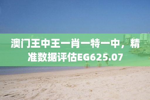 澳门王中王一肖一特一中，精准数据评估EG625.07