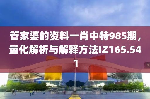 管家婆的资料一肖中特985期，量化解析与解释方法IZ165.541
