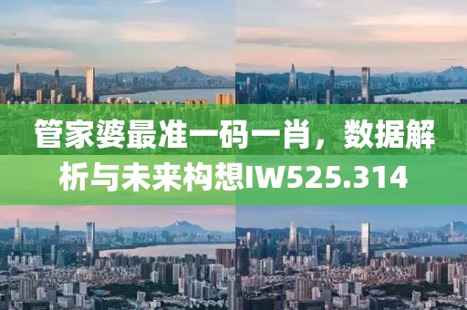 管家婆最准一码一肖，数据解析与未来构想IW525.314