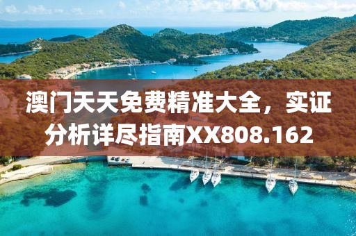 澳门天天免费精准大全，实证分析详尽指南XX808.162