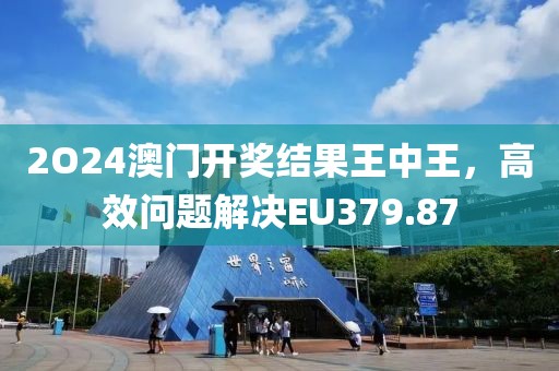 2O24澳门开奖结果王中王，高效问题解决EU379.87