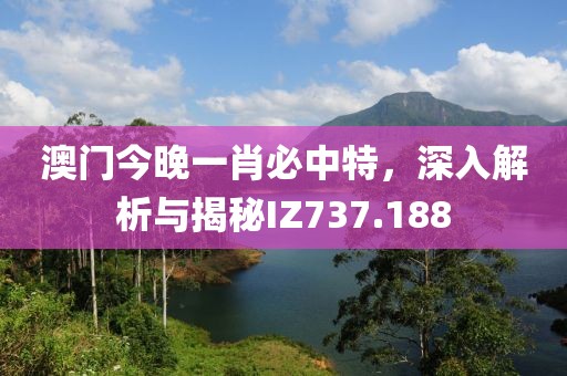 澳门今晚一肖必中特，深入解析与揭秘IZ737.188