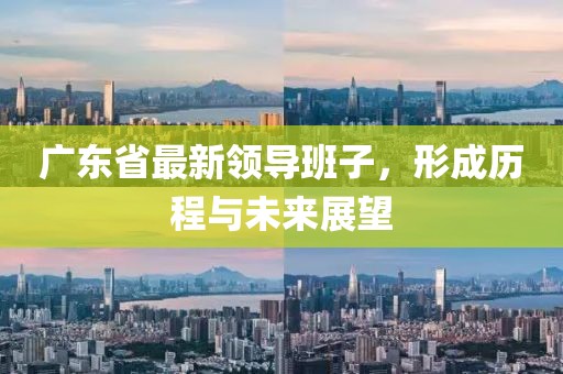 广东省最新领导班子，形成历程与未来展望