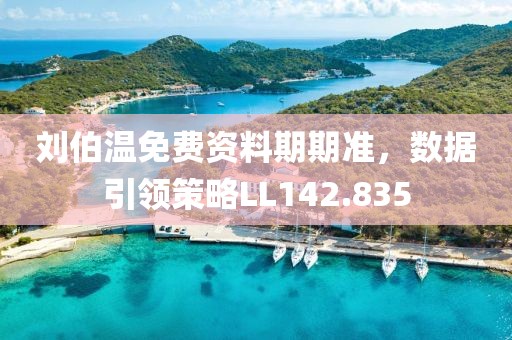 刘伯温免费资料期期准，数据引领策略LL142.835