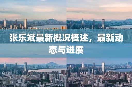 张乐斌最新概况概述，最新动态与进展
