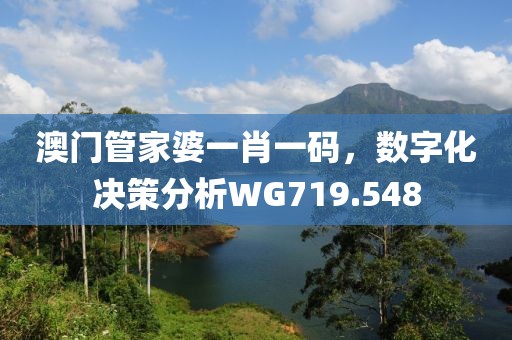 澳门管家婆一肖一码，数字化决策分析WG719.548
