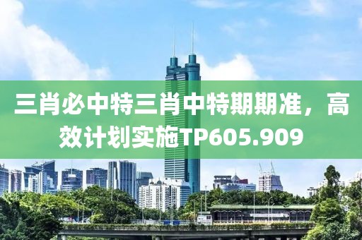 三肖必中特三肖中特期期准，高效计划实施TP605.909