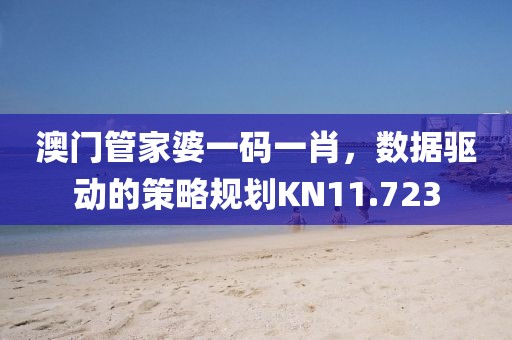 澳门管家婆一码一肖，数据驱动的策略规划KN11.723