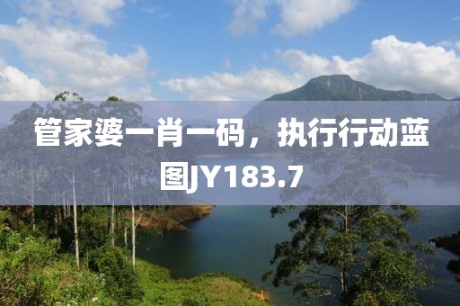管家婆一肖一码，执行行动蓝图JY183.7