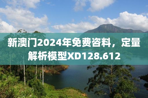 新澳门2024年免费咨料，定量解析模型XD128.612