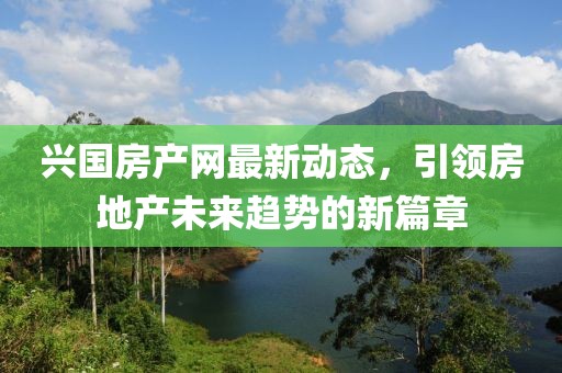 兴国房产网最新动态，引领房地产未来趋势的新篇章