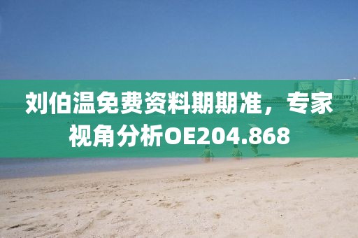 刘伯温免费资料期期准，专家视角分析OE204.868