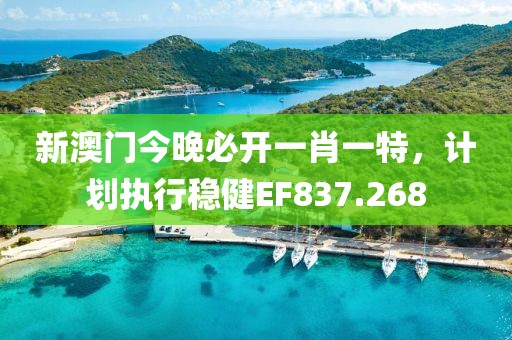新澳门今晚必开一肖一特，计划执行稳健EF837.268