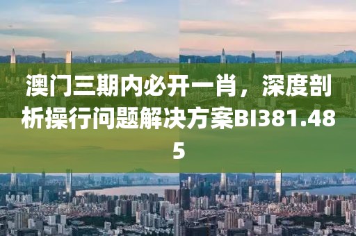 澳门三期内必开一肖，深度剖析操行问题解决方案BI381.485