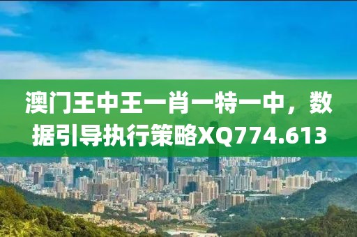 澳门王中王一肖一特一中，数据引导执行策略XQ774.613