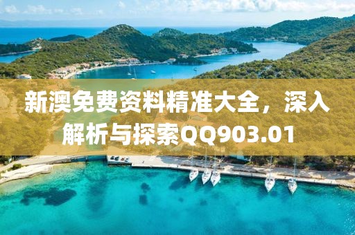 新澳免费资料精准大全，深入解析与探索QQ903.01