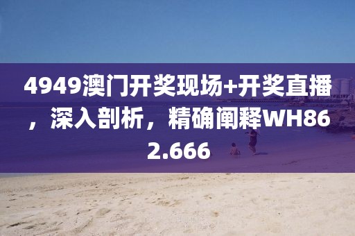 4949澳门开奖现场+开奖直播，深入剖析，精确阐释WH862.666