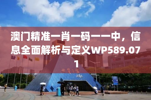 澳门精准一肖一码一一中，信息全面解析与定义WP589.071