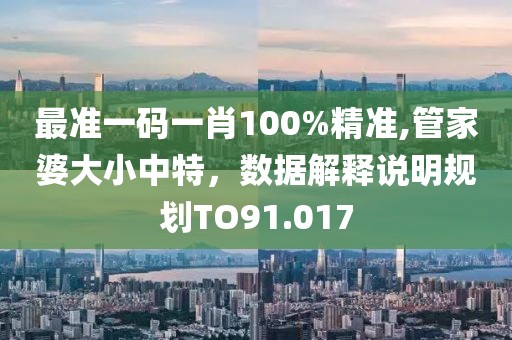 最准一码一肖100%精准,管家婆大小中特，数据解释说明规划TO91.017