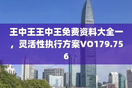 王中王王中王免费资料大全一，灵活性执行方案VO179.756