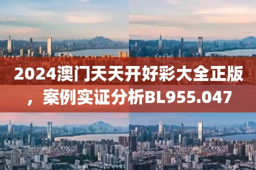 2024澳门天天开好彩大全正版，案例实证分析BL955.047