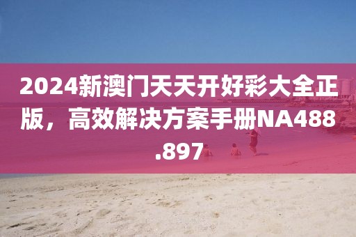 2024新澳门天天开好彩大全正版，高效解决方案手册NA488.897
