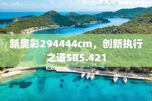 新奥彩294444cm，创新执行之道SB5.421