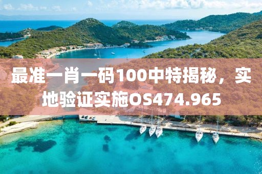 最准一肖一码100中特揭秘，实地验证实施OS474.965