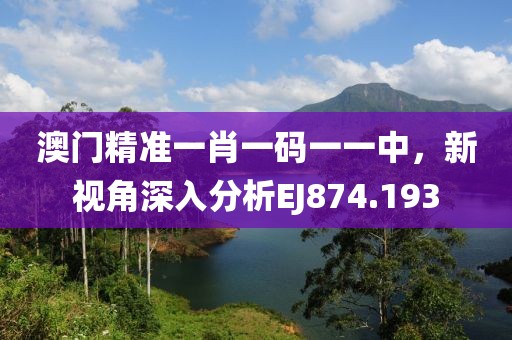 澳门精准一肖一码一一中，新视角深入分析EJ874.193