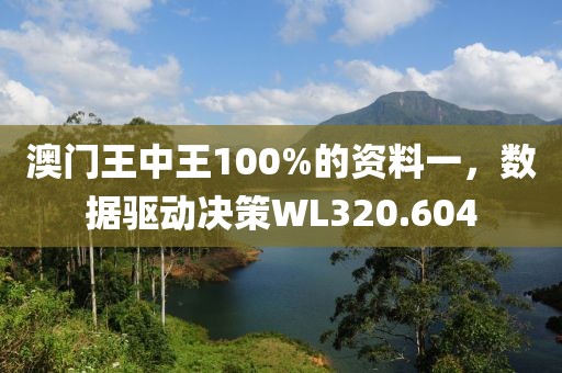 澳门王中王100%的资料一，数据驱动决策WL320.604