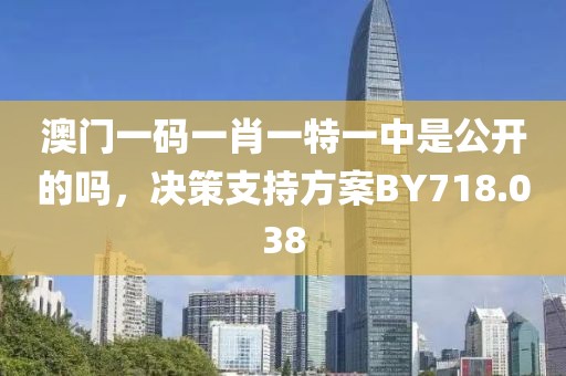 澳门一码一肖一特一中是公开的吗，决策支持方案BY718.038