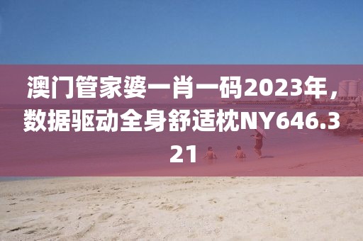 澳门管家婆一肖一码2023年，数据驱动全身舒适枕NY646.321