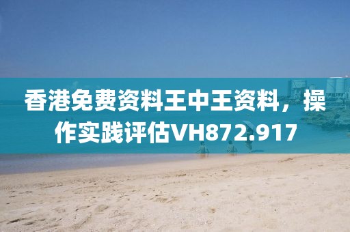 香港免费资料王中王资料，操作实践评估VH872.917