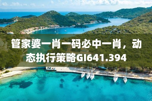 管家婆一肖一码必中一肖，动态执行策略GI641.394