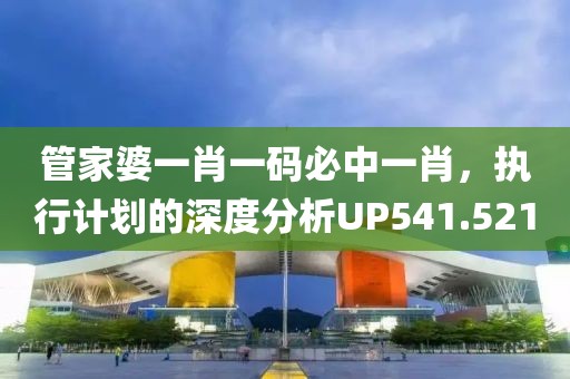 管家婆一肖一码必中一肖，执行计划的深度分析UP541.521