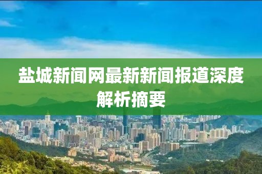 盐城新闻网最新新闻报道深度解析摘要