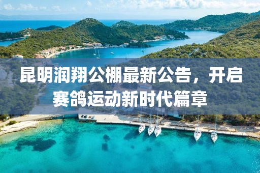 昆明润翔公棚最新公告，开启赛鸽运动新时代篇章