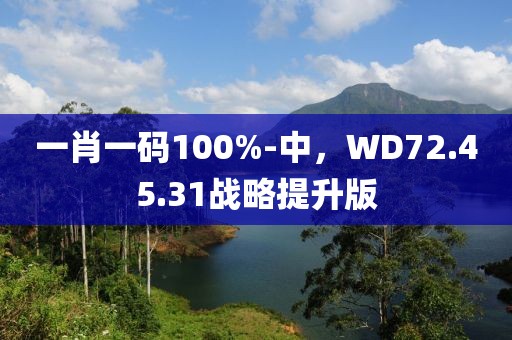 一肖一码100%-中，WD72.45.31战略提升版