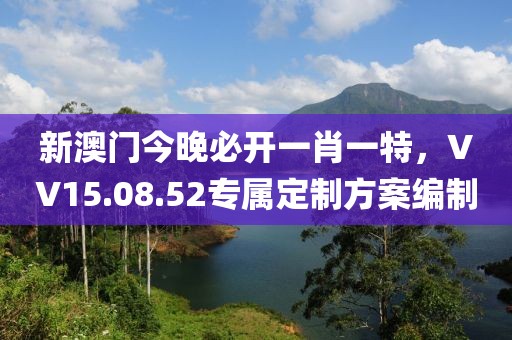 新澳门今晚必开一肖一特，VV15.08.52专属定制方案编制