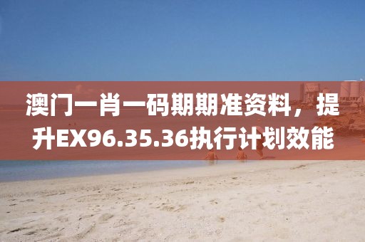澳门一肖一码期期准资料，提升EX96.35.36执行计划效能