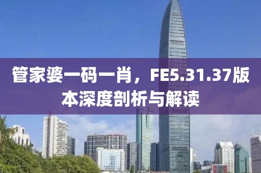 管家婆一码一肖，FE5.31.37版本深度剖析与解读