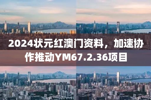 2024状元红澳门资料，加速协作推动YM67.2.36项目