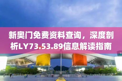 新奥门免费资料查询，深度剖析LY73.53.89信息解读指南