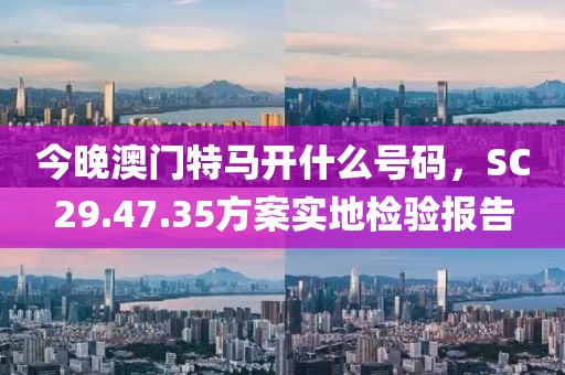 今晚澳门特马开什么号码，SC29.47.35方案实地检验报告