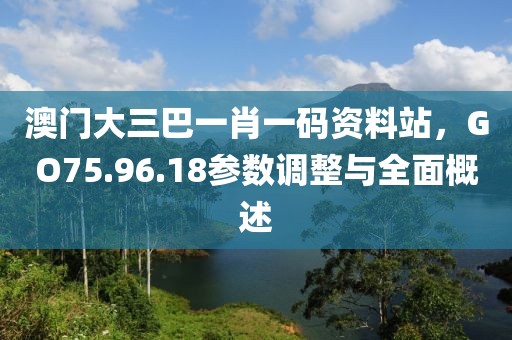 澳门大三巴一肖一码资料站，GO75.96.18参数调整与全面概述