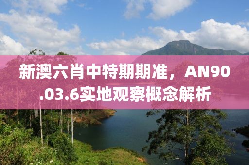 新澳六肖中特期期准，AN90.03.6实地观察概念解析