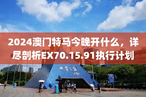 2024澳门特马今晚开什么，详尽剖析EX70.15.91执行计划